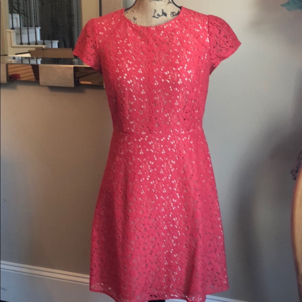 Lace Sunday dress